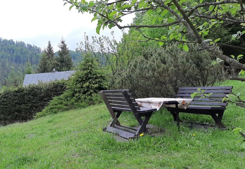 Fleurs De Myto Villa Mýto pod Ďumbierom Eksteriør bilde